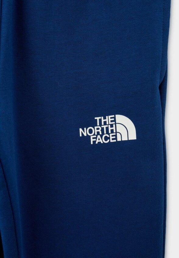 Брюки спортивные The North Face