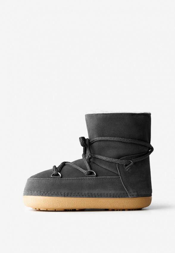 Луноходы Wysh