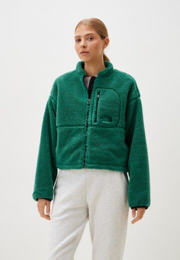 Олимпийка The North Face