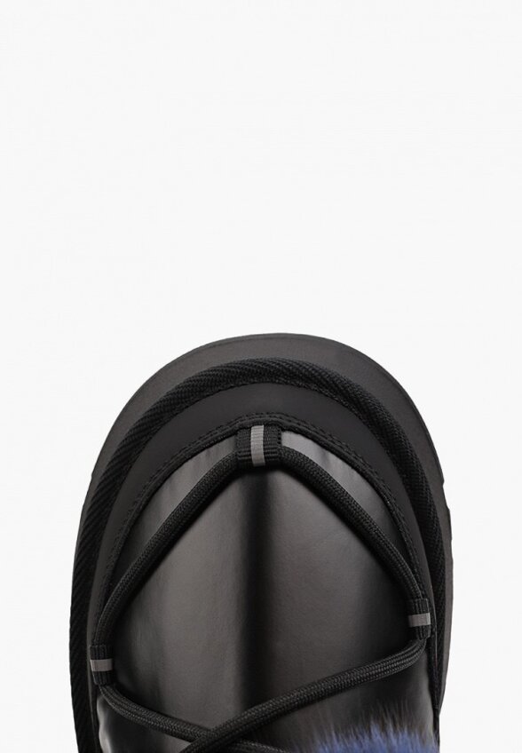 Дутики Ascalini