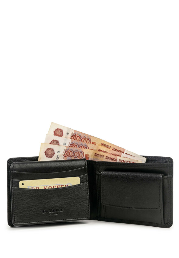 Др.Коффер X510426-245-04 портмоне