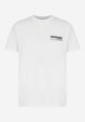 Футболка мужская Quiksilver Palm Square, Белый8  - превью