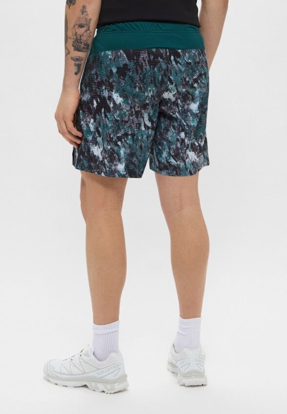Шорты спортивные The North Face