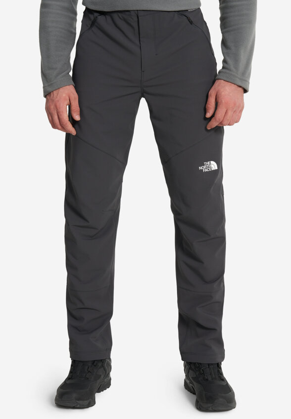 Брюки мужские The North Face Diablo Reg, Серый
