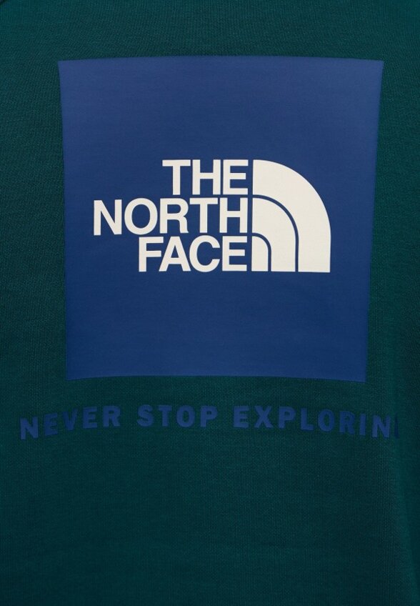 Худи The North Face