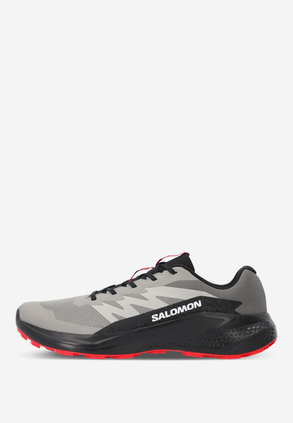Кроссовки мужские Salomon Alphaglide, Серый