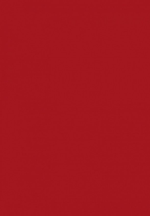 Карандаш для губ Deborah