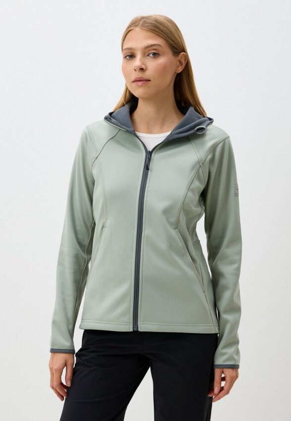 Олимпийка Northland