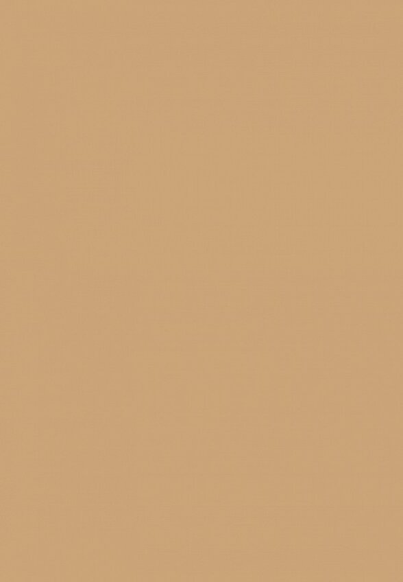 Тональный крем Estee Lauder