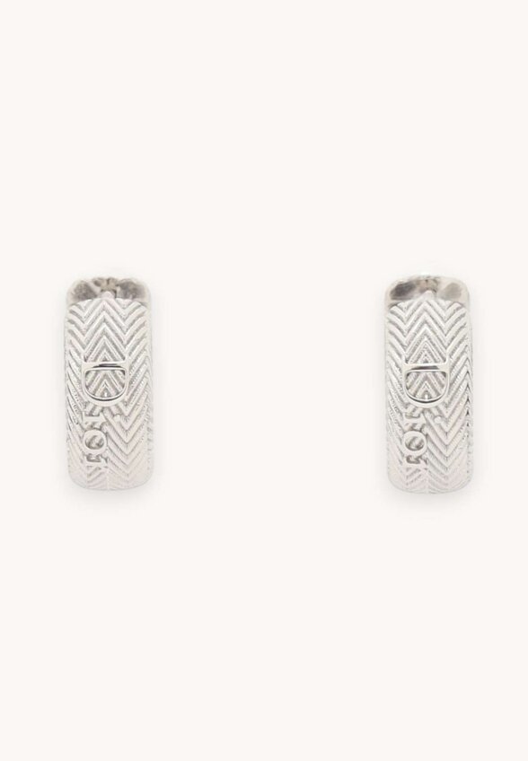 Dior Earrings