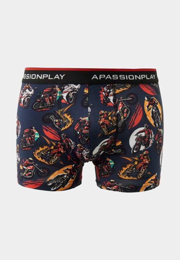 Трусы A Passion Play