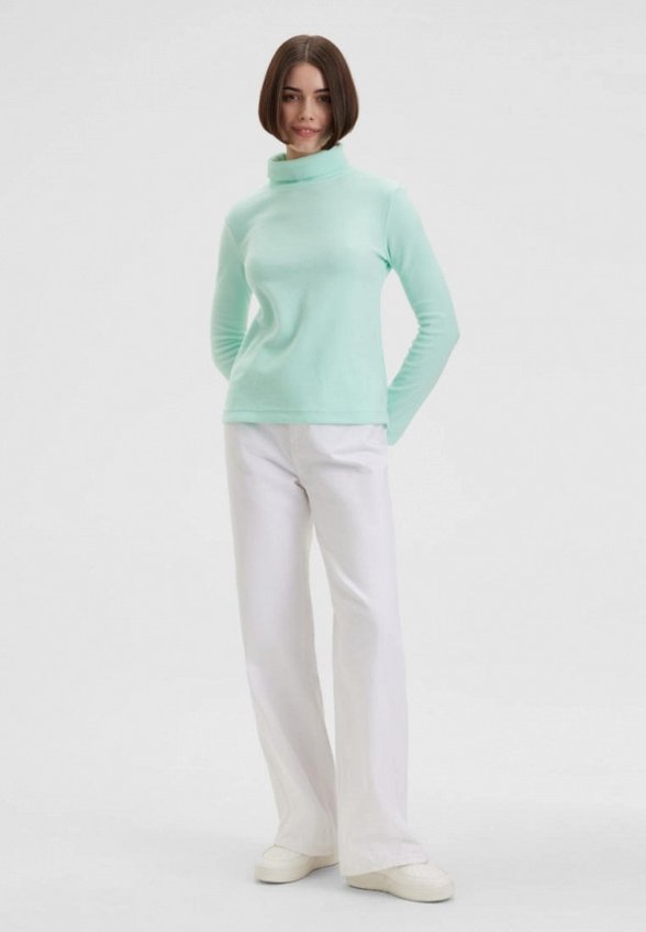 Водолазка Envylab