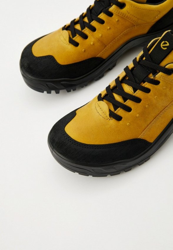 Кроссовки трекинговые Ecco