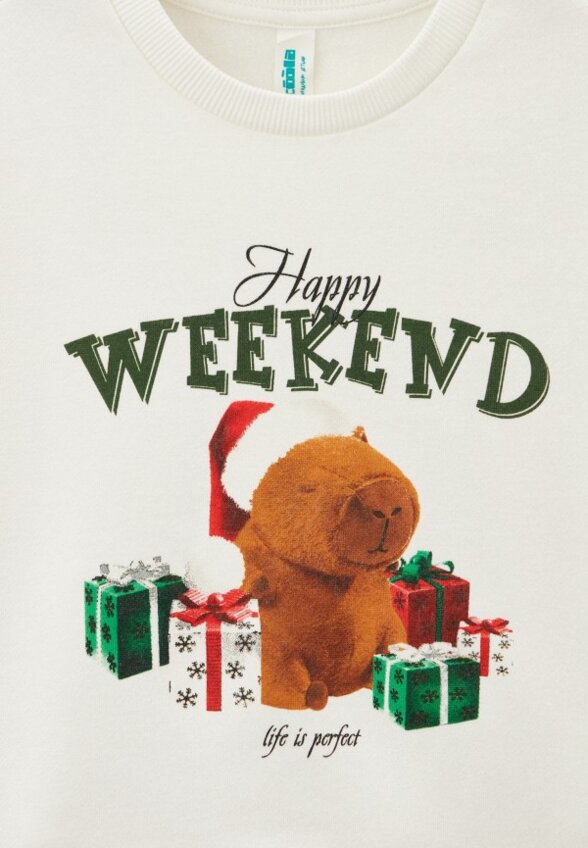 Свитшот Acoola