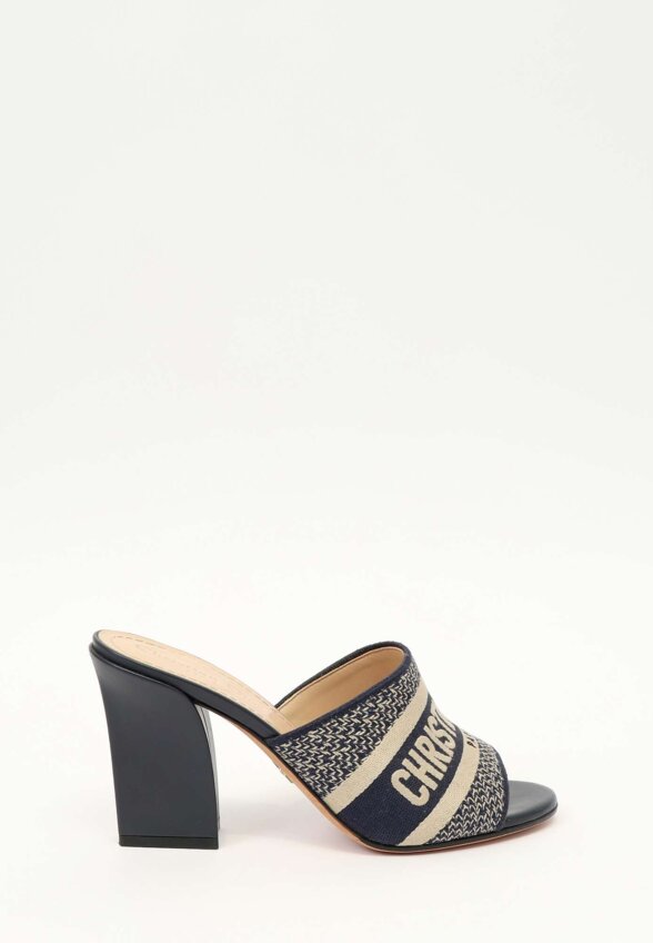 Dior Shoes