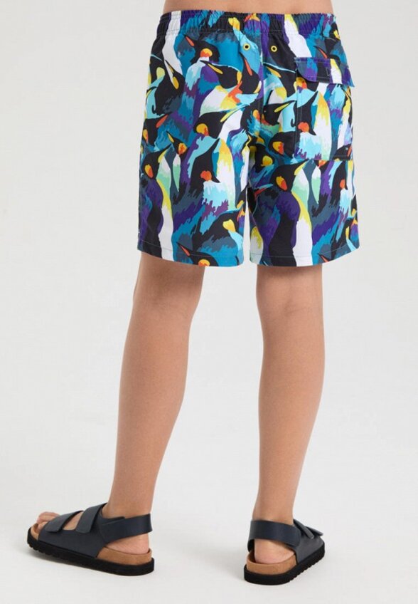 Шорты для плавания Norveg