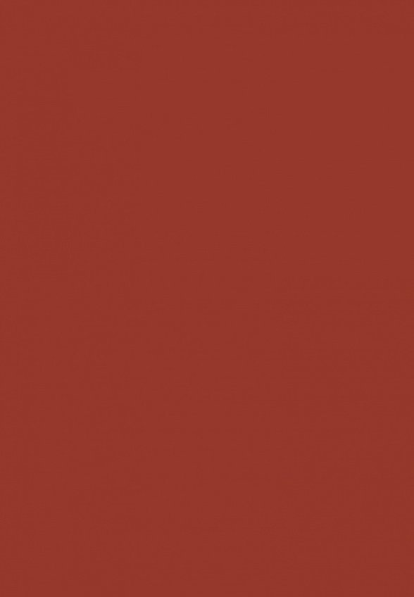 Тинт для губ Focallure