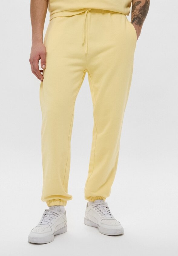 Брюки спортивные Les Benjamins