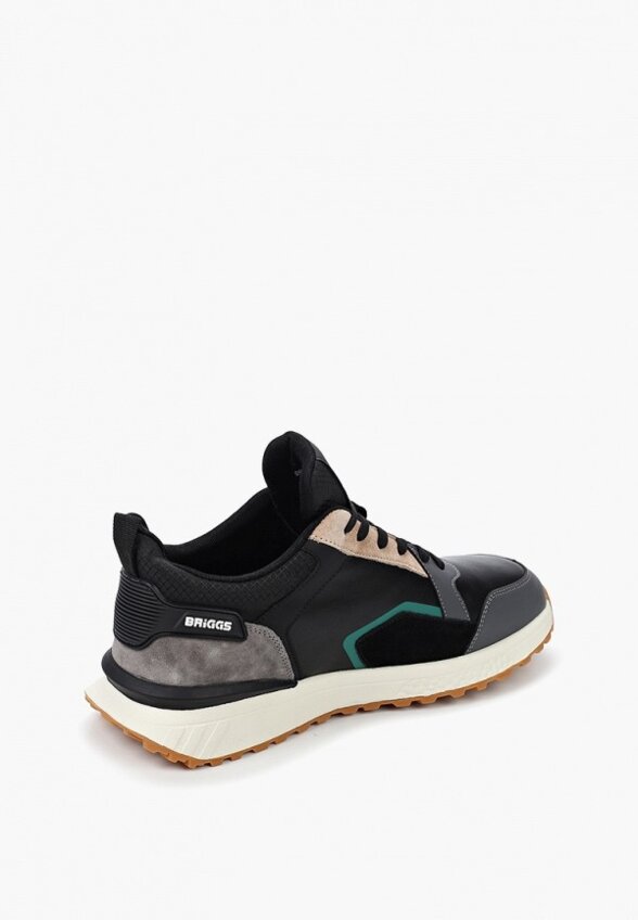 Кроссовки Briggs