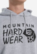 Худи мужское Mountain Hardwear Logo, Серый6  - превью