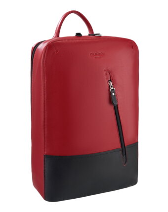 Др.Коффер B402780-41-12_04 рюкзак женщинам