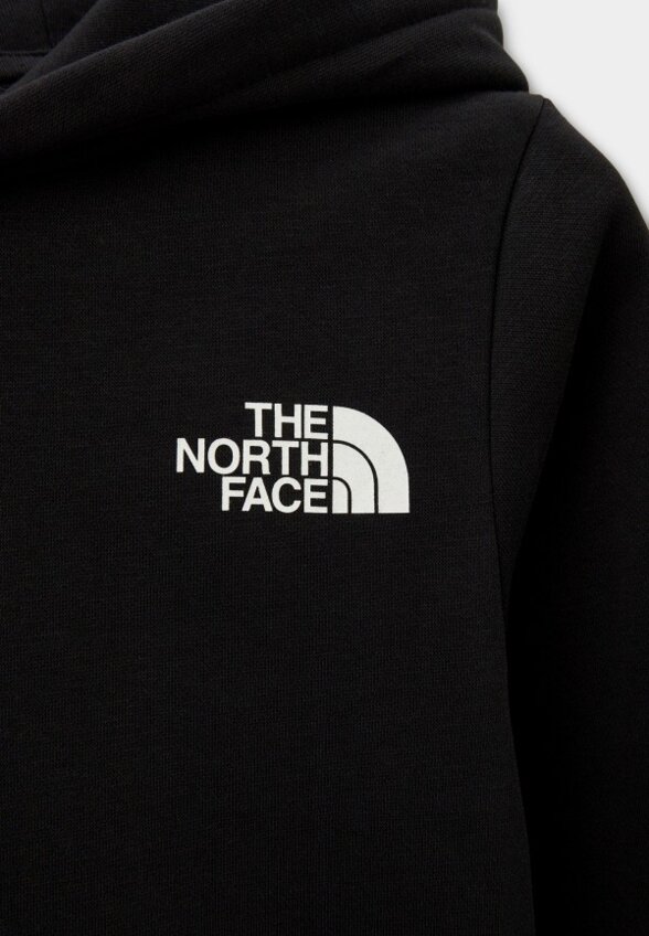 Худи The North Face