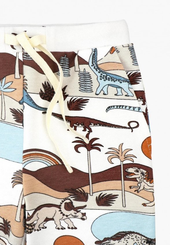 Брюки спортивные Mjolk