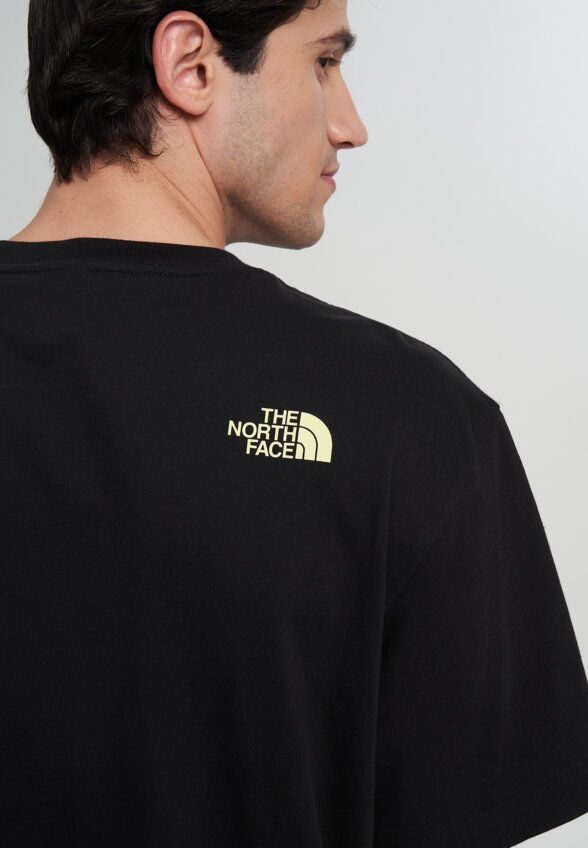 Футболка мужская The North Face Logo Twist, Черный