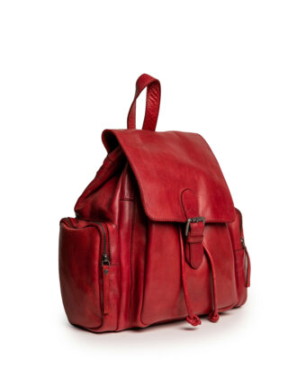 Др.Коффер B402776-249-12 рюкзак женщинам