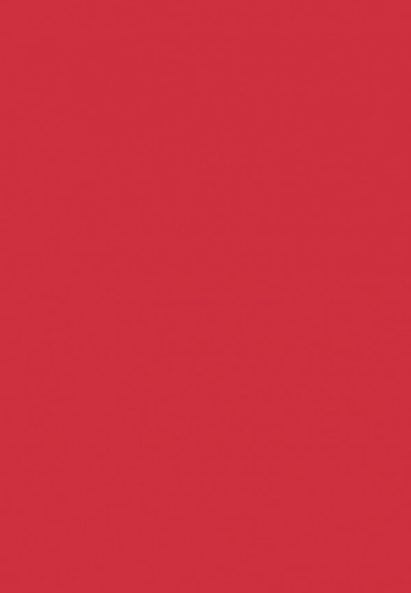 Бальзам оттеночный для губ Arive Makeup