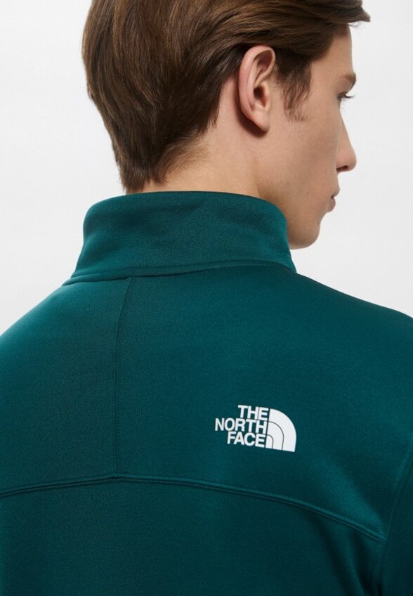 Олимпийка The North Face