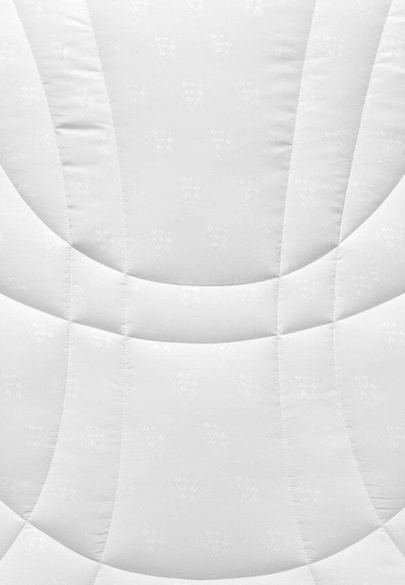 Одеяло Евро Togas