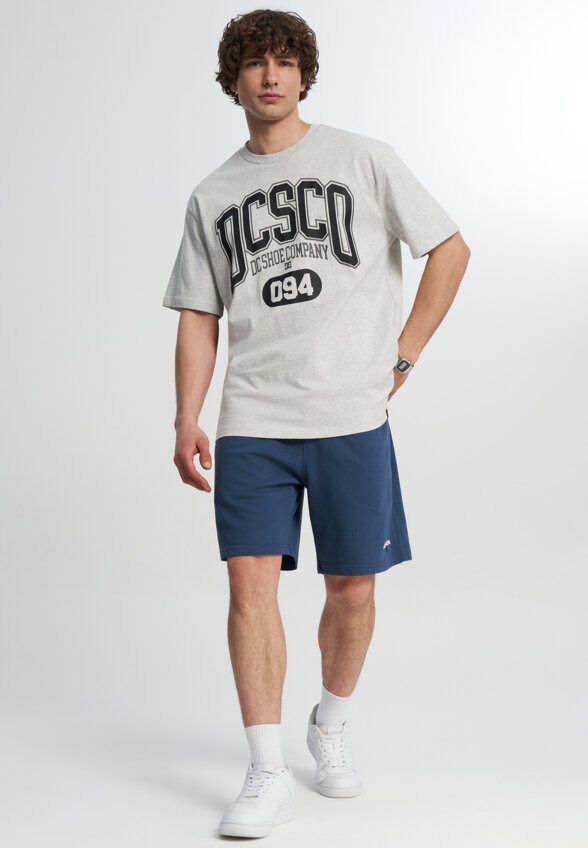 Футболка мужская DC Shoes Elective, Серый