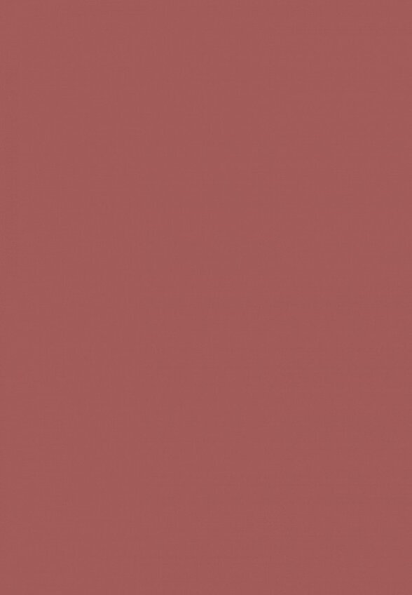 Помада жидкая Focallure