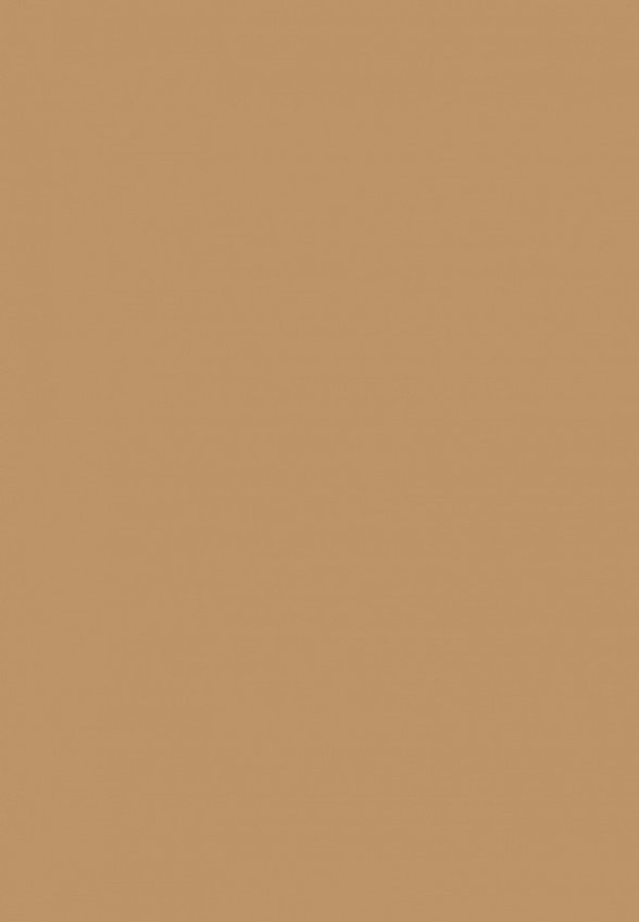 Тональный крем Shik