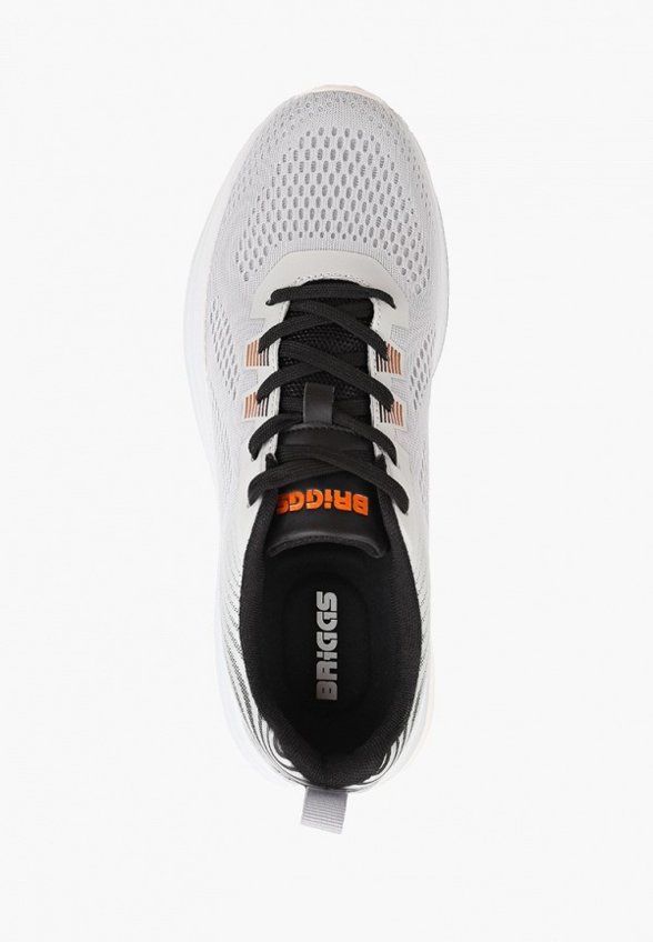 Кроссовки Briggs