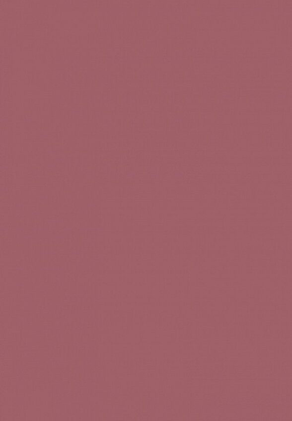 Карандаш для губ Influence Beauty