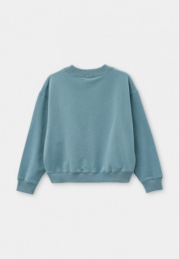 Свитшот Sui Generis