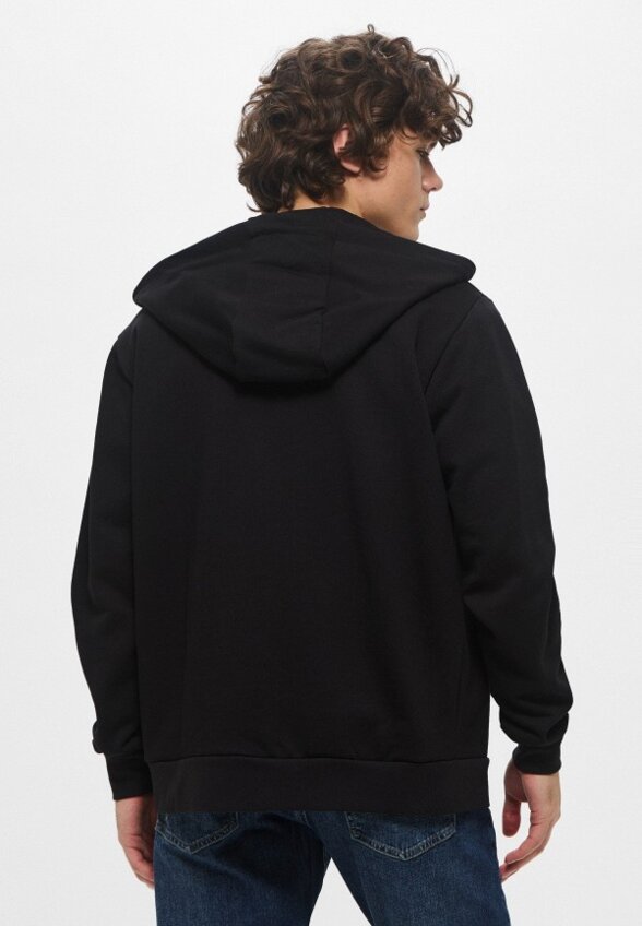 Толстовка Iceberg