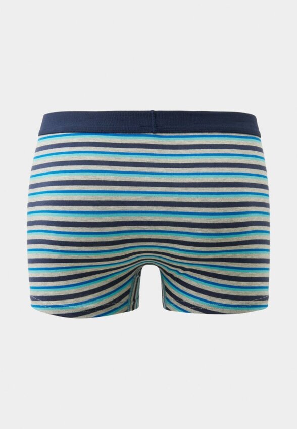 Трусы 3 шт. LC Waikiki