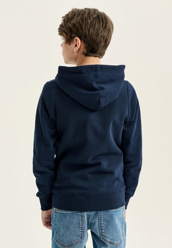 Толстовка Tom Tailor