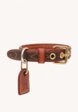 Louis Vuitton Dog Collar1  - превью