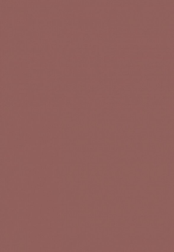 Бальзам оттеночный для губ Vivienne Sabo