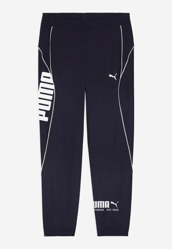 Брюки мужские PUMA, Синий