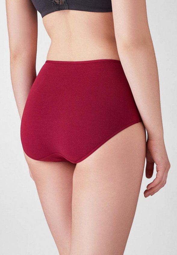 Трусы 2 шт. Lowry Collection