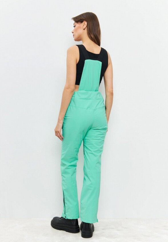 Брюки горнолыжные WinDay