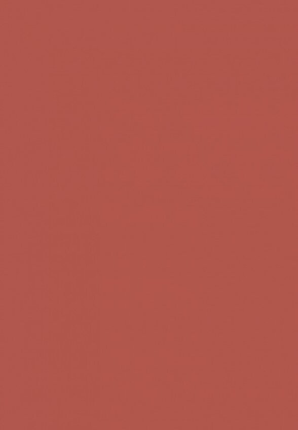 Помада-бальзам Russian Beauty Guru