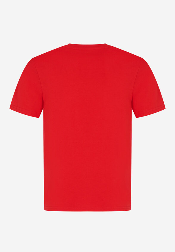 Футболка для мальчиков Demix, Красный