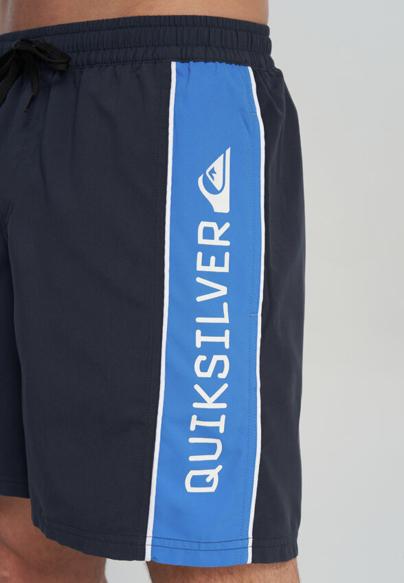 Шорты плавательные мужские Quiksilver Everyday Clicker Volley 17, Синий