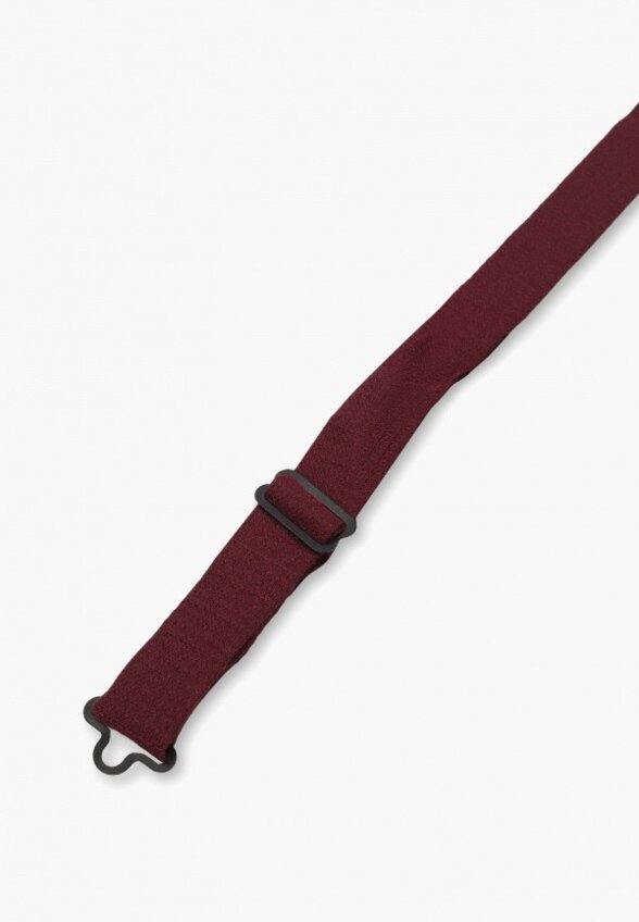 Бабочка Mango Man